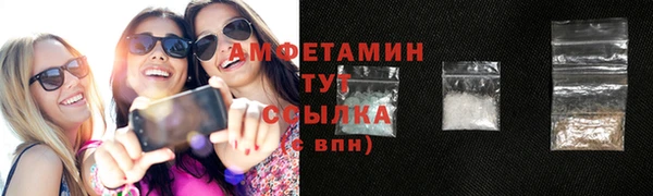 гидра Вяземский