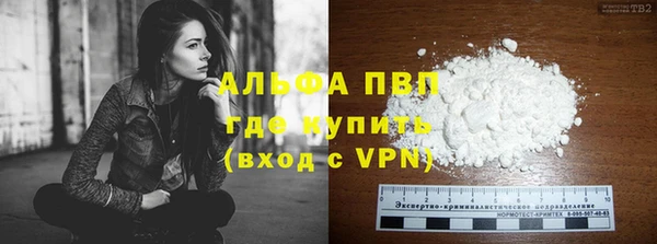 гидра Вяземский