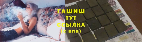 гидра Вяземский