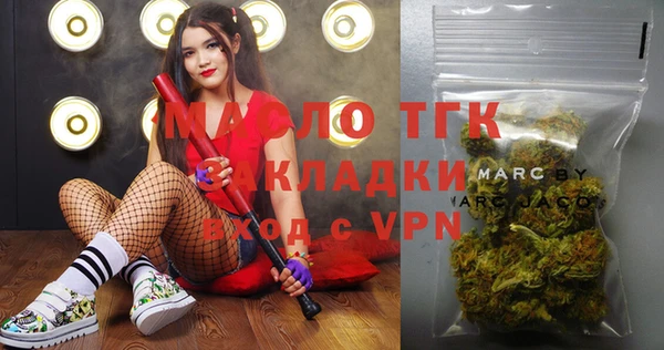 гидра Вяземский