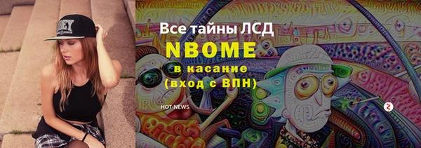 гидра Вяземский