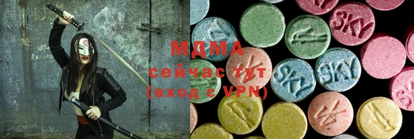 гидра Вяземский