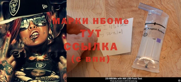 гидра Вяземский
