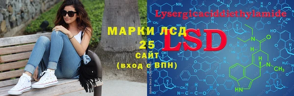 гидра Вяземский