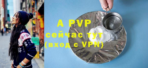 гидра Вяземский